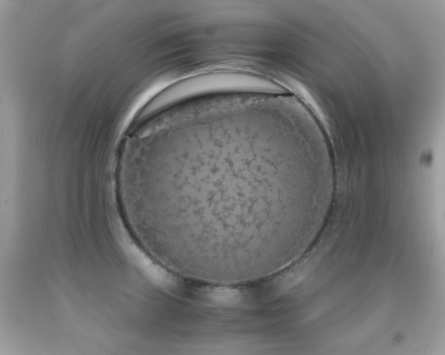 X0000091861235200709051201
