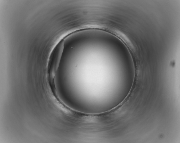 X0000091861236200709051201