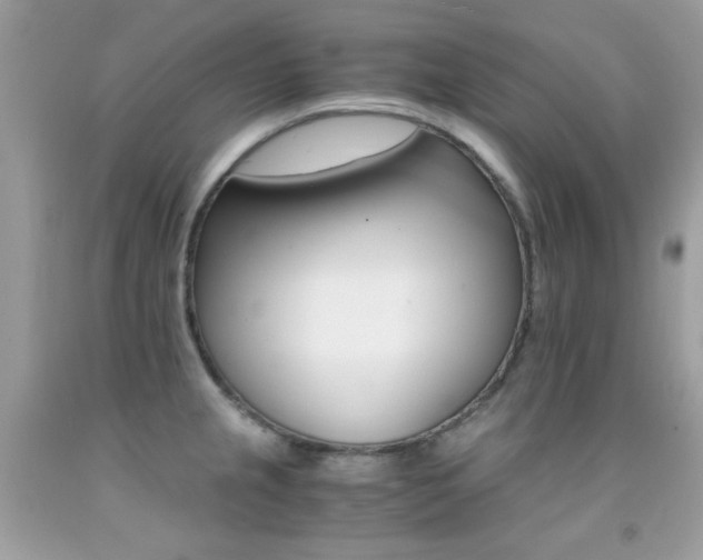 X0000091861237200709051201