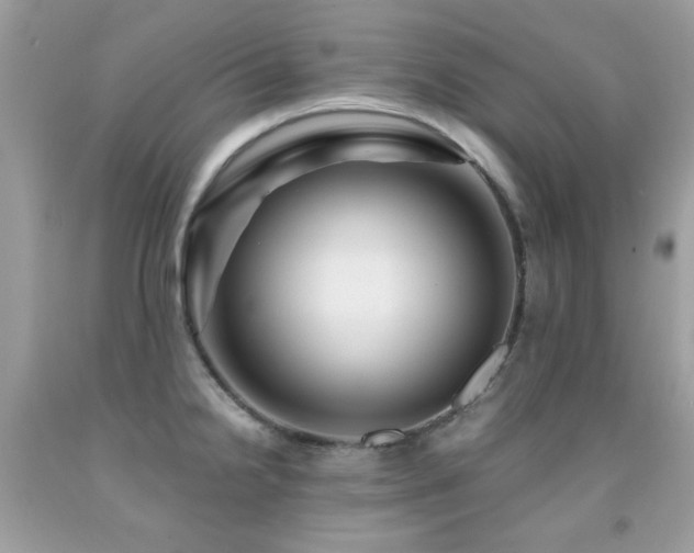X0000091861238200709051201