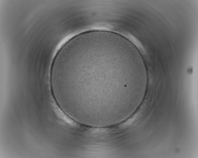 X0000091861240200709051201