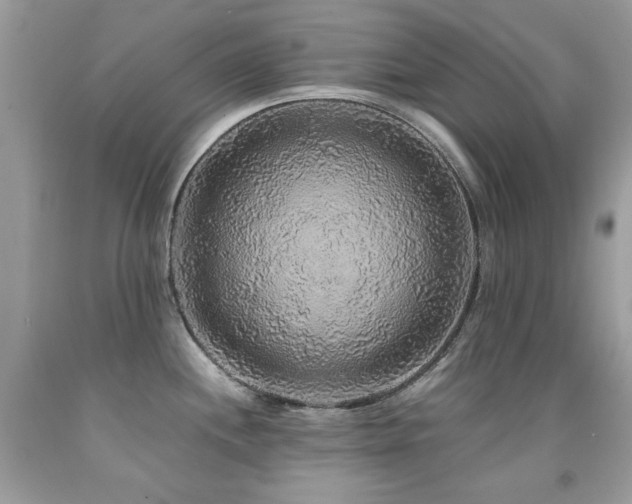 X0000091861244200709051201