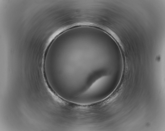 X0000091861245200709051201