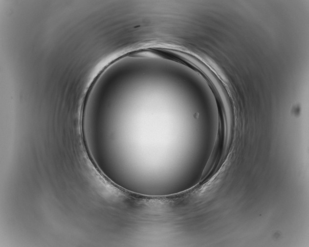 X0000091861246200709051201
