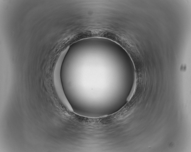 X0000091861249200709051200