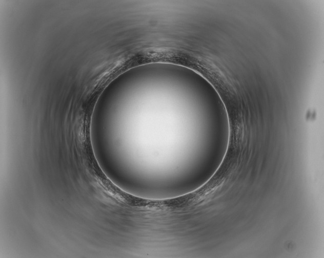 X0000091861250200709051200