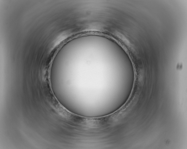 X0000091861258200709051200