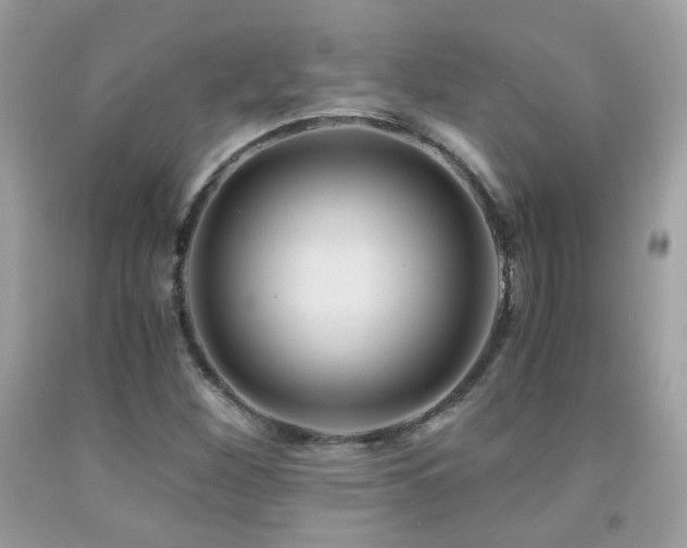 X0000091861260200709051200