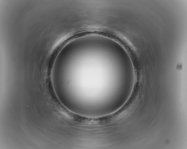 X0000091861261200709051200