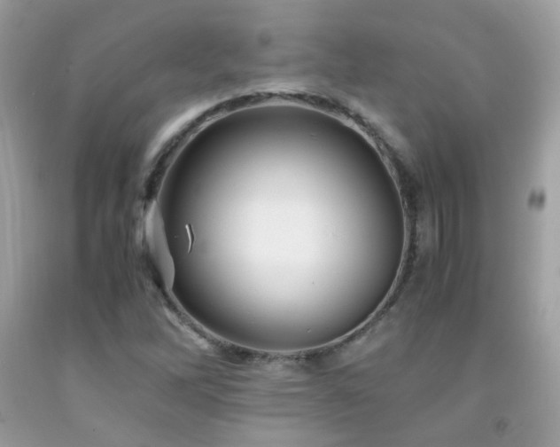 X0000091861262200709051200