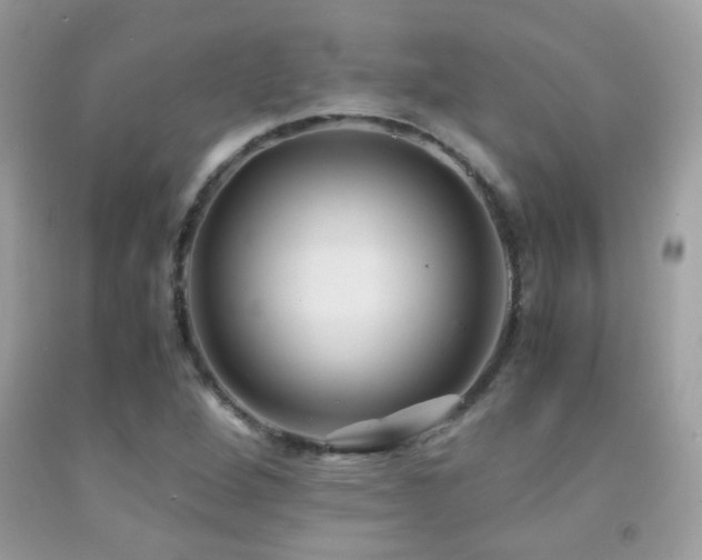 X0000091861264200709051200