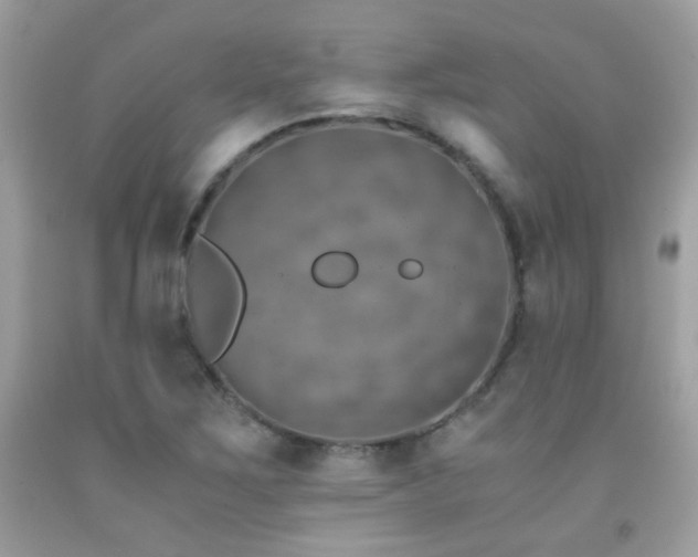 X0000091861267200709051200