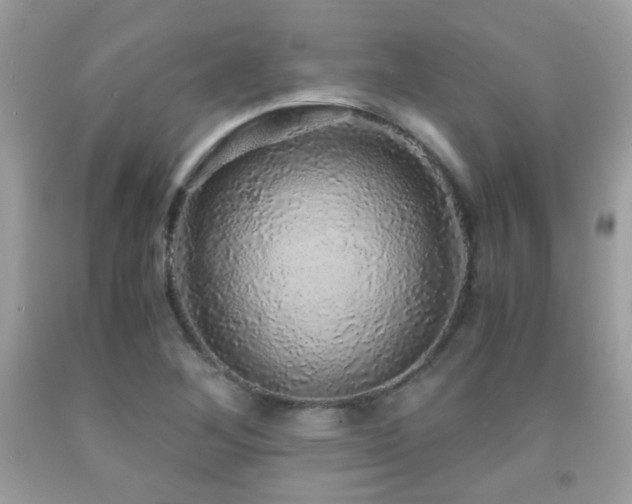 X0000091861268200709051200