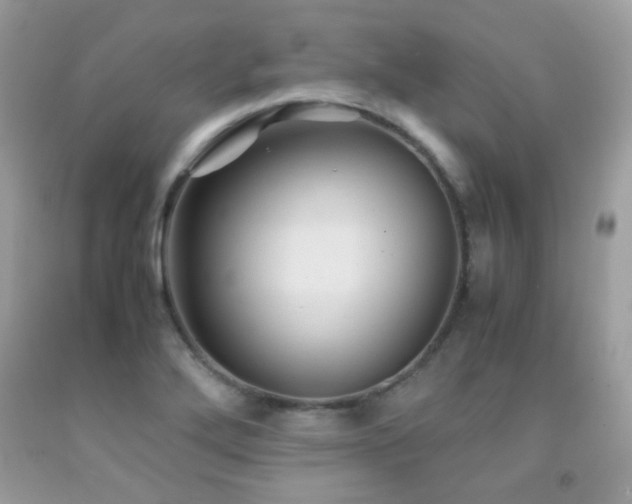 X0000091861272200709051200