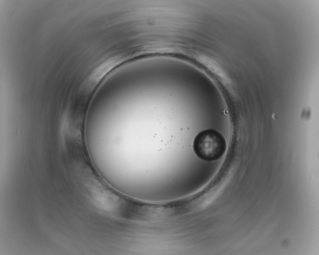 X0000091861273200709051200