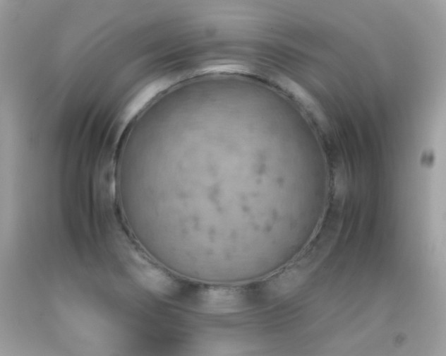 X0000091861274200709051200
