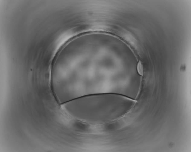 X0000091861275200709051200
