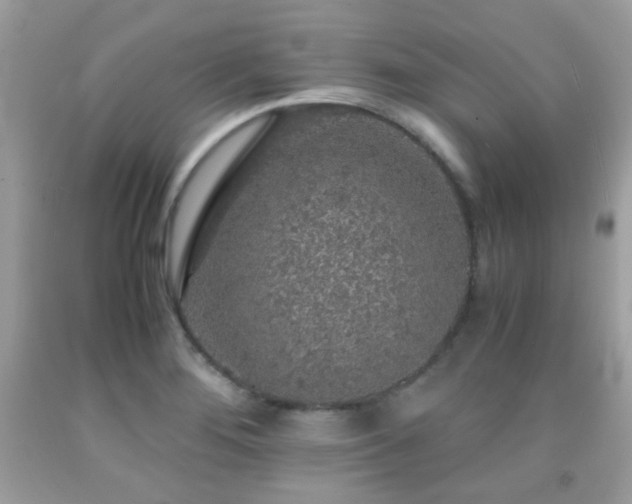 X0000091861276200709051200