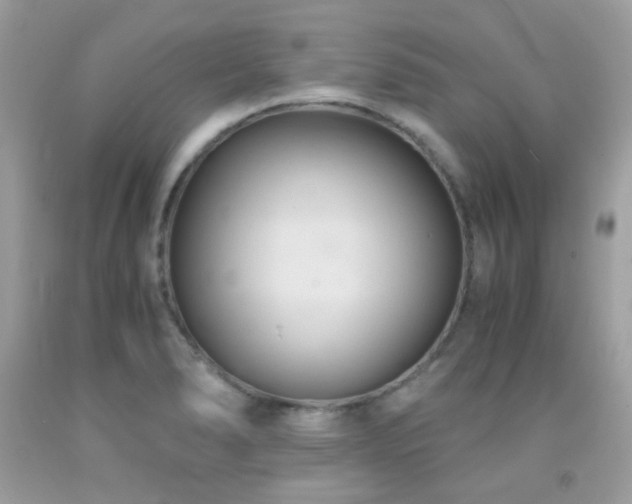 X0000091861278200709051200