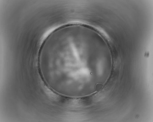 X0000091861279200709051200