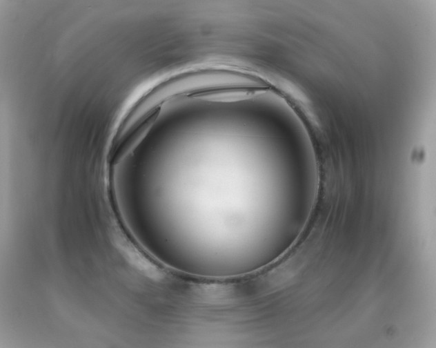 X0000091861280200709051200