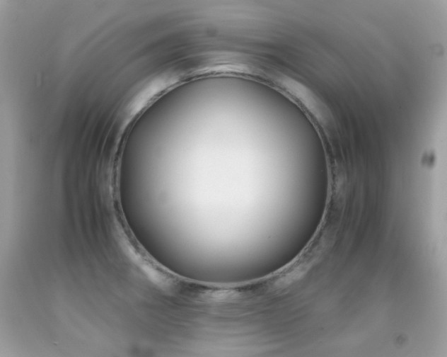 X0000091861282200709051200