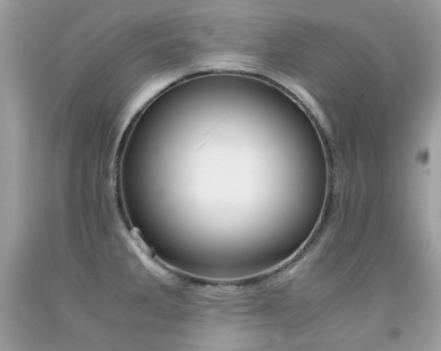 X0000091861285200709051200