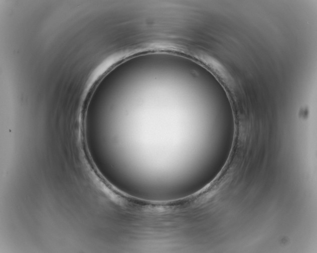 X0000091861286200709051200