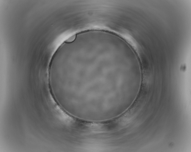 X0000091861287200709051200