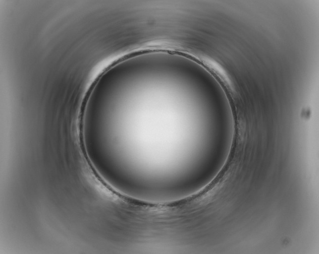 X0000091861288200709051200
