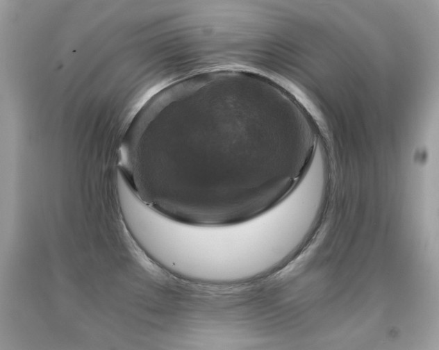 X0000091861289200709051200