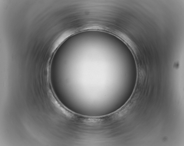 X0000091861290200709051200