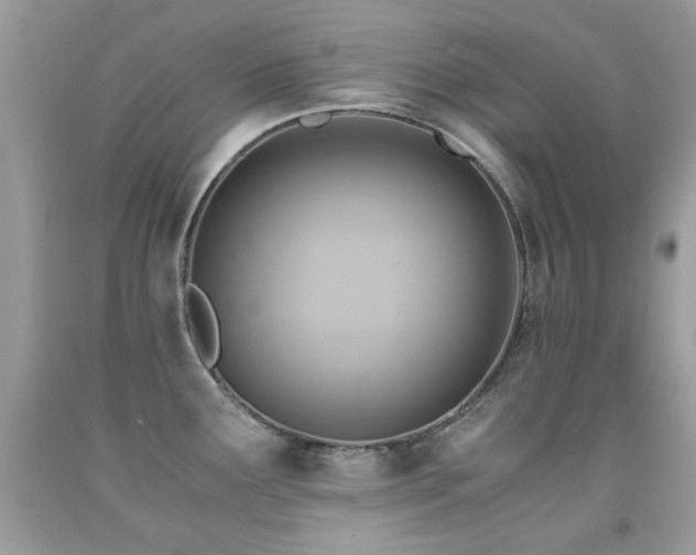 X0000091861291200709051200