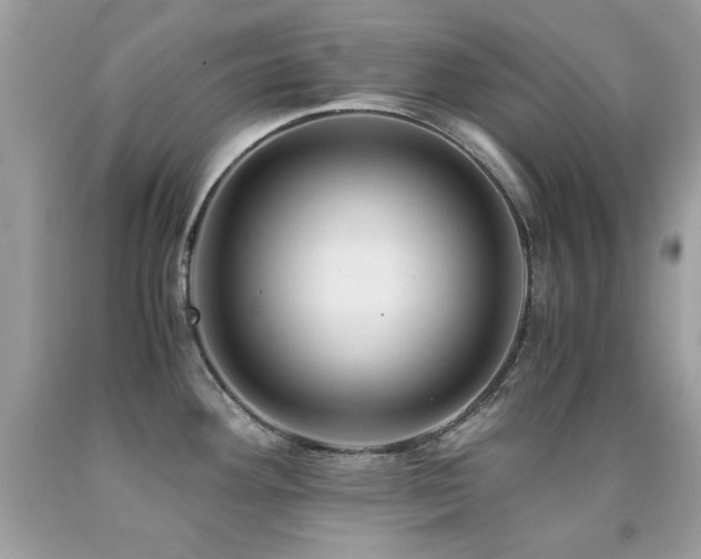 X0000091861292200709051200