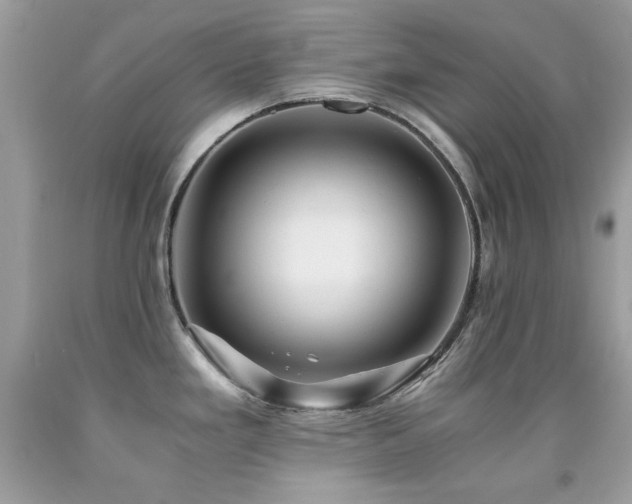 X0000091861293200709051159