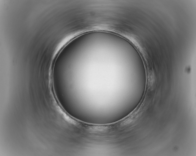 X0000091861294200709051159
