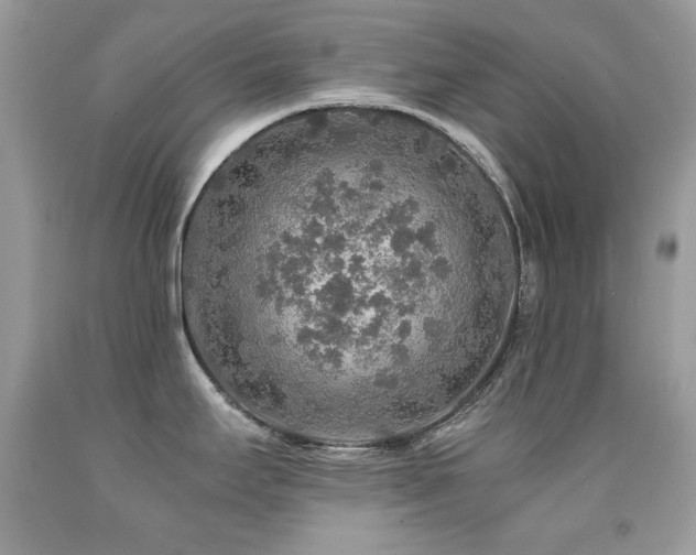 X0000091861295200709051159