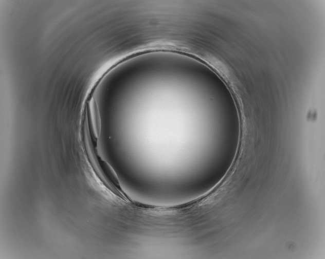 X0000091861296200709051159