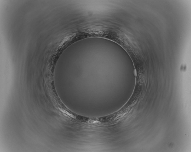 X0000091861297200709051159