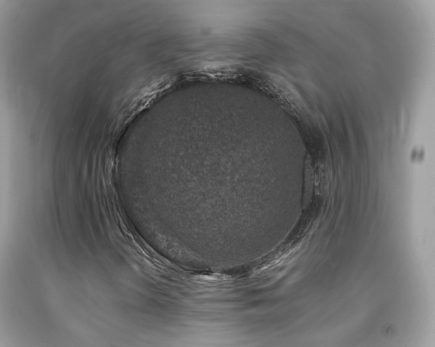 X0000091861298200709051159