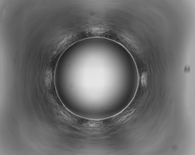 X0000091861299200709051159