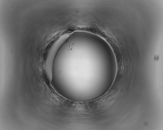X0000091861301200709051159
