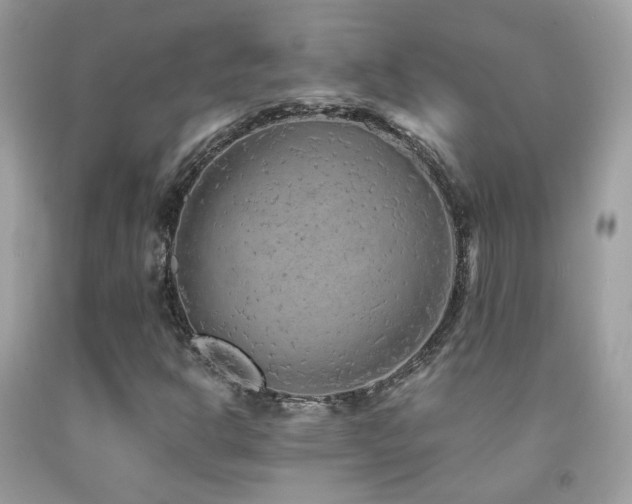 X0000091861302200709051159