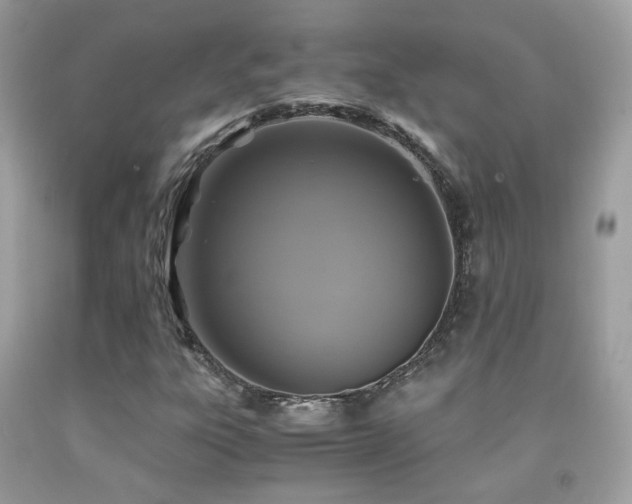 X0000091861303200709051159