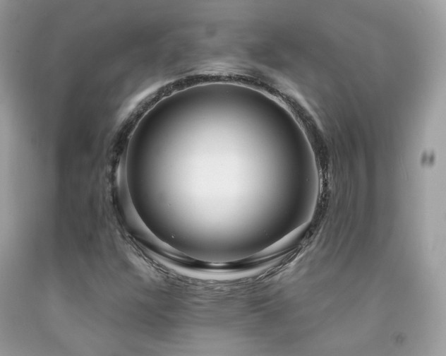 X0000091861304200709051159
