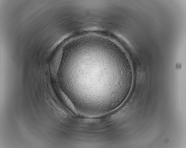 X0000091861305200709051159