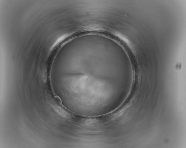X0000091861306200709051159