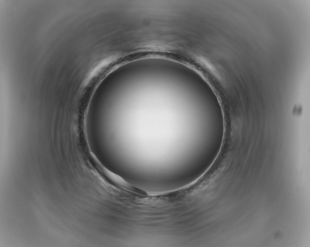 X0000091861307200709051159
