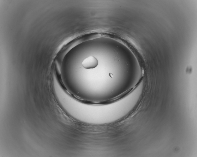 X0000091861308200709051159