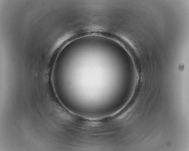X0000091861309200709051159